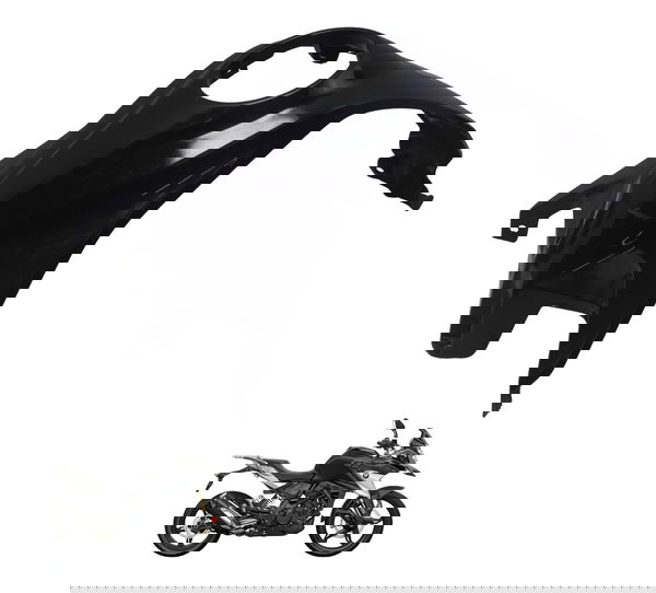 Capa Central Tanque Bmw G310 Gs 20-24 Original