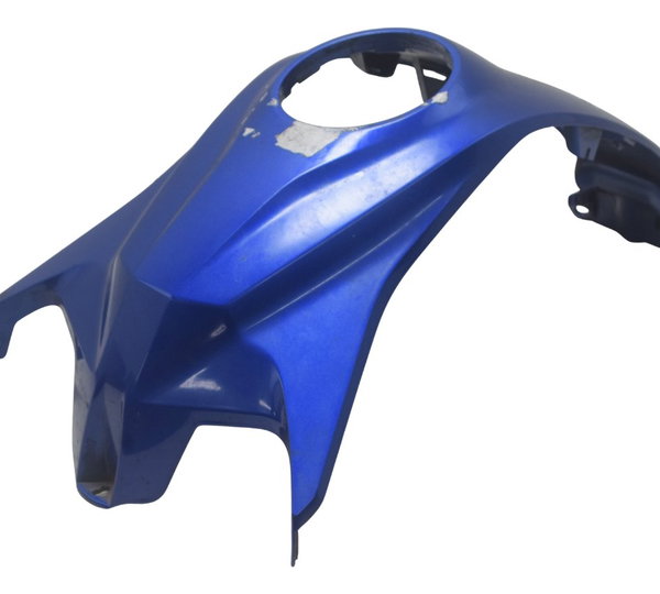 Capa Central Tanque Bmw G310 Gs 20-24 Original