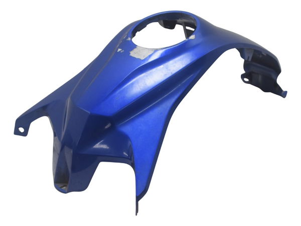 Capa Central Tanque Bmw G310 Gs 20-24 Original
