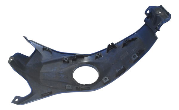 Capa Central Tanque Bmw G310 Gs 20-24 Original