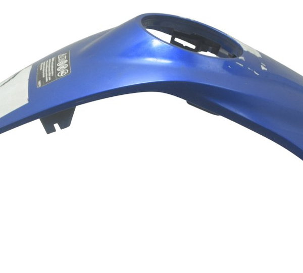 Capa Central Tanque Bmw G310 Gs 20-24 Original