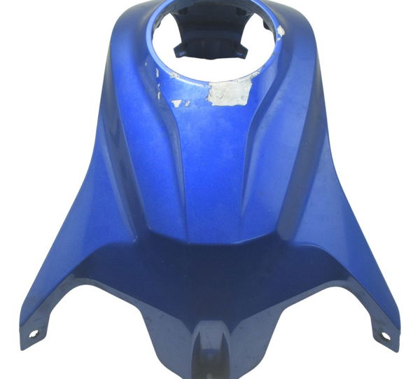 Capa Central Tanque Bmw G310 Gs 20-24 Original