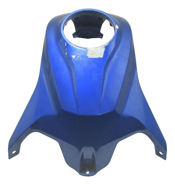 Capa Central Tanque Bmw G310 Gs 20-24 Original