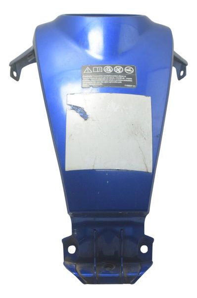 Capa Central Tanque Bmw G310 Gs 20-24 Original