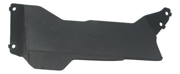 Acabamento Radiador Bmw G310 Gs 20-24 Original
