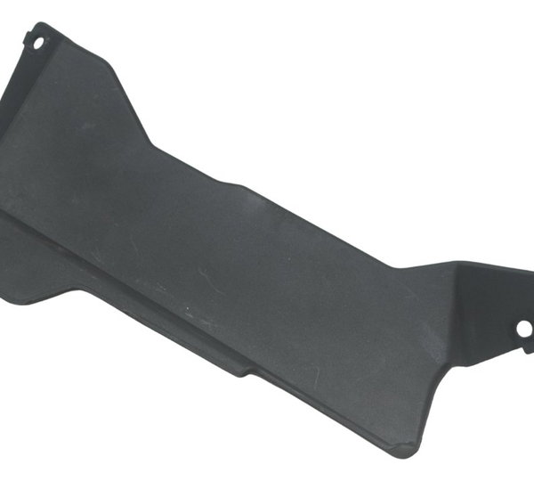 Acabamento Radiador Bmw G310 Gs 20-24 Original