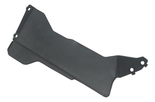 Acabamento Radiador Bmw G310 Gs 20-24 Original