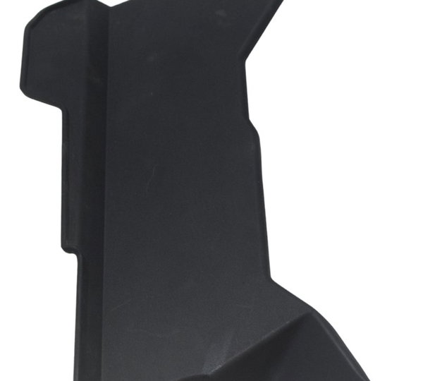 Acabamento Radiador Bmw G310 Gs 20-24 Original