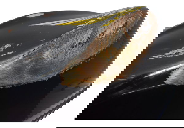 Tanque C/ Avaria Honda Cb 600f Hornet 08-11 Original