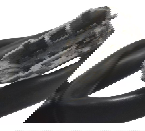 Chave Punho Luz C/ Detalhes Honda Cb 600f Hornet 08-11 Orig