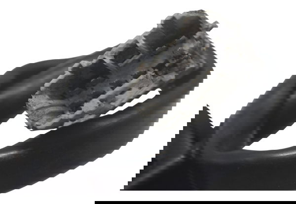 Chave Punho Luz C/ Detalhes Honda Cb 600f Hornet 08-11 Orig