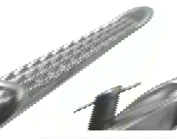 Pedaleira Traseira Direita Honda Cb 600f Hornet 08-11 Orig