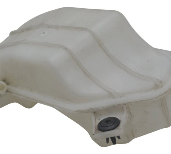 Reservatório Água Bmw G310 Gs 20-24 Original