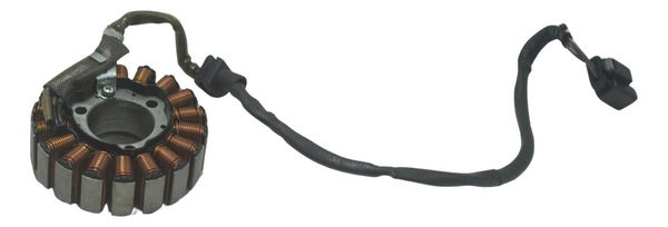 Estator Bmw G310 Gs 20-24 Original