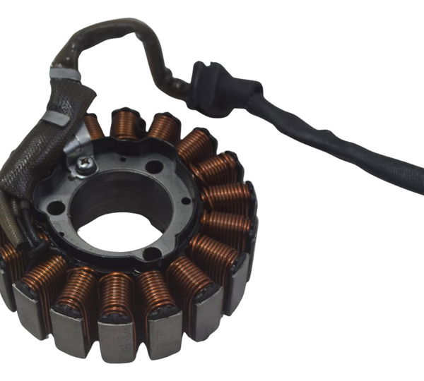 Estator Bmw G310 Gs 20-24 Original