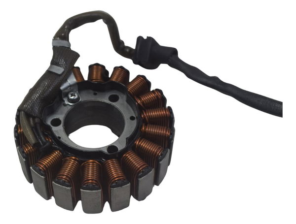 Estator Bmw G310 Gs 20-24 Original