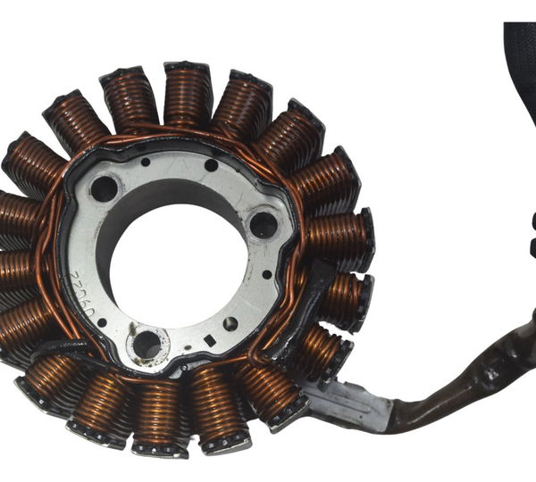 Estator Bmw G310 Gs 20-24 Original