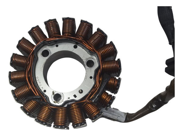 Estator Bmw G310 Gs 20-24 Original