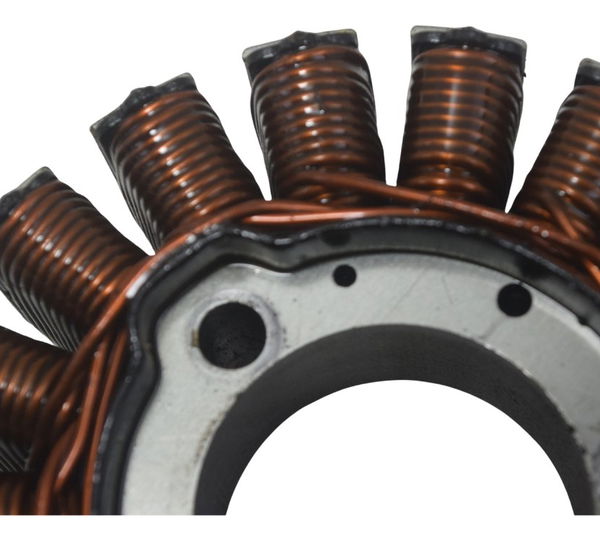 Estator Bmw G310 Gs 20-24 Original