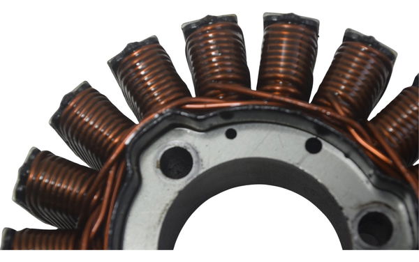 Estator Bmw G310 Gs 20-24 Original