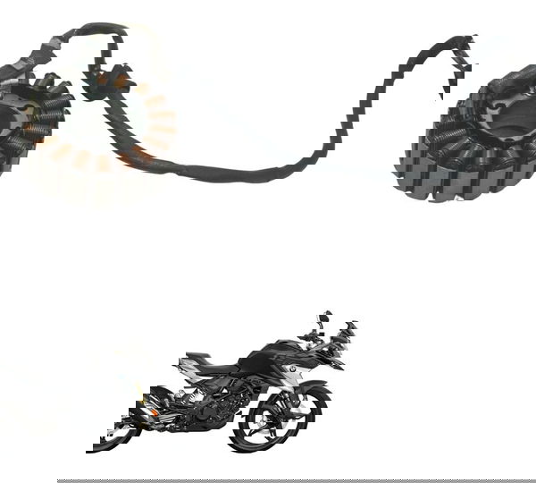 Estator Bmw G310 Gs 20-24 Original