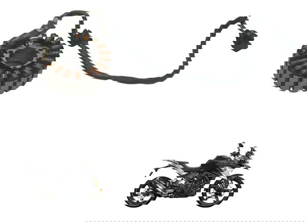 Estator Bmw G310 Gs 20-24 Original