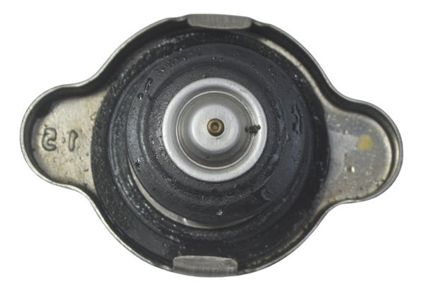Tampa Radiador Bmw G310 Gs 20-24 Original