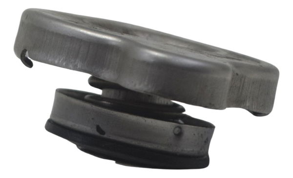 Tampa Radiador Bmw G310 Gs 20-24 Original