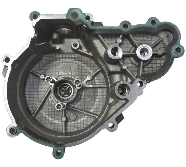 Tampa Motor Esquerdo Estator Bmw G310 Gs 20-24 Original