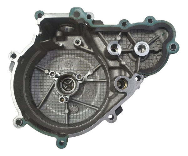 Tampa Motor Esquerdo Estator Bmw G310 Gs 20-24 Original