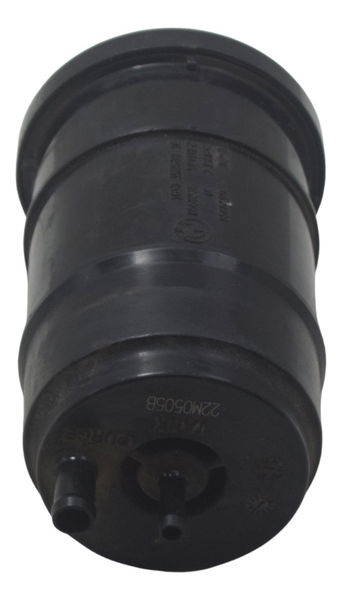 Filtro Canister Bmw G310 Gs 20-24 Original
