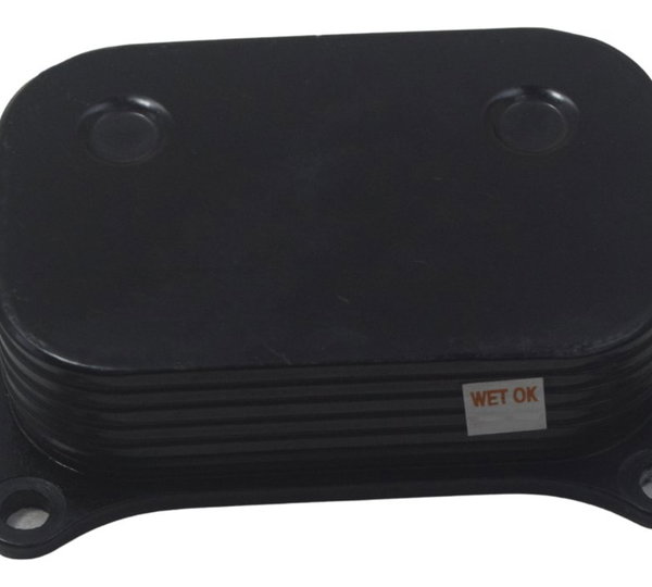 Resfriador Óleo Bmw G310 Gs 20-24 Original