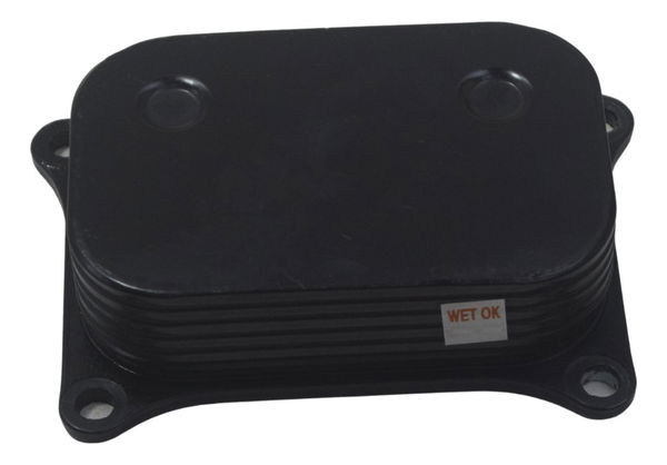 Resfriador Óleo Bmw G310 Gs 20-24 Original