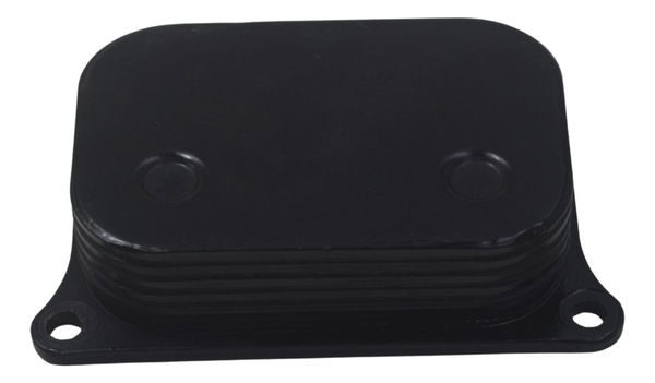 Resfriador Óleo Bmw G310 Gs 20-24 Original