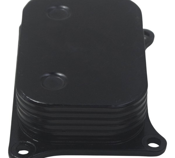 Resfriador Óleo Bmw G310 Gs 20-24 Original