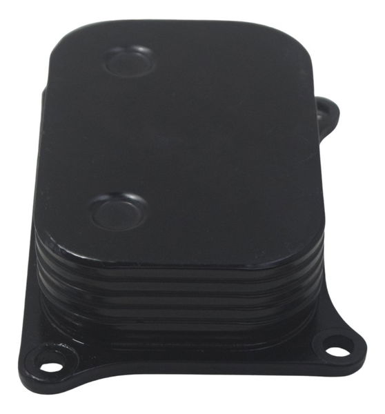 Resfriador Óleo Bmw G310 Gs 20-24 Original