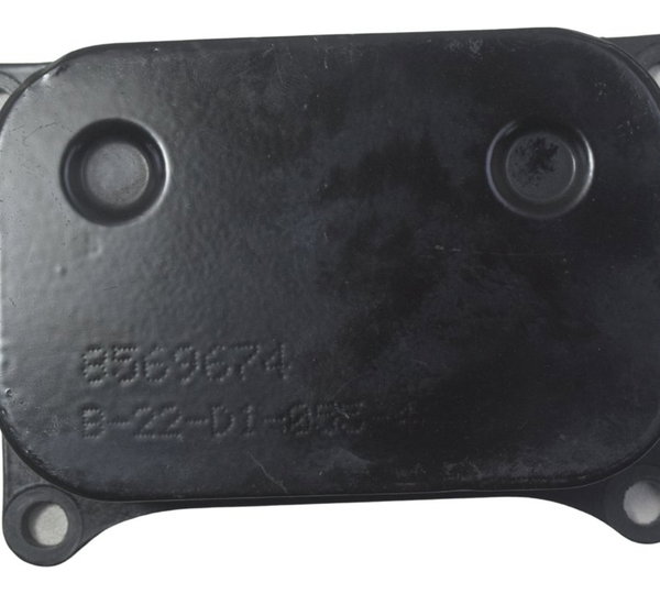 Resfriador Óleo Bmw G310 Gs 20-24 Original