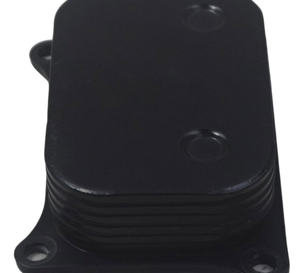 Resfriador Óleo Bmw G310 Gs 20-24 Original