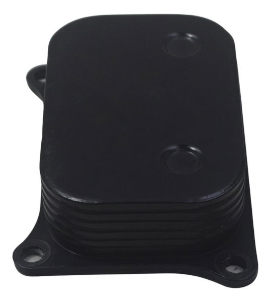 Resfriador Óleo Bmw G310 Gs 20-24 Original