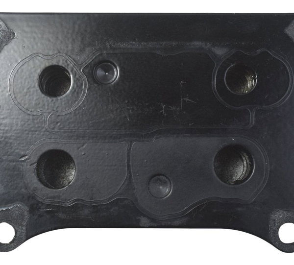 Resfriador Óleo Bmw G310 Gs 20-24 Original