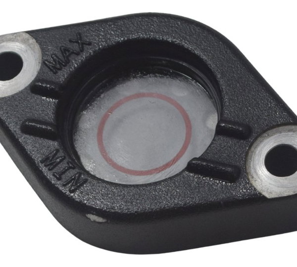 Visor Nível Óleo Bmw G310 Gs 20-24 Original