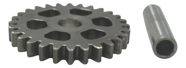 Engrenagem Redução Partida Bmw G310 Gs 20-24 Original