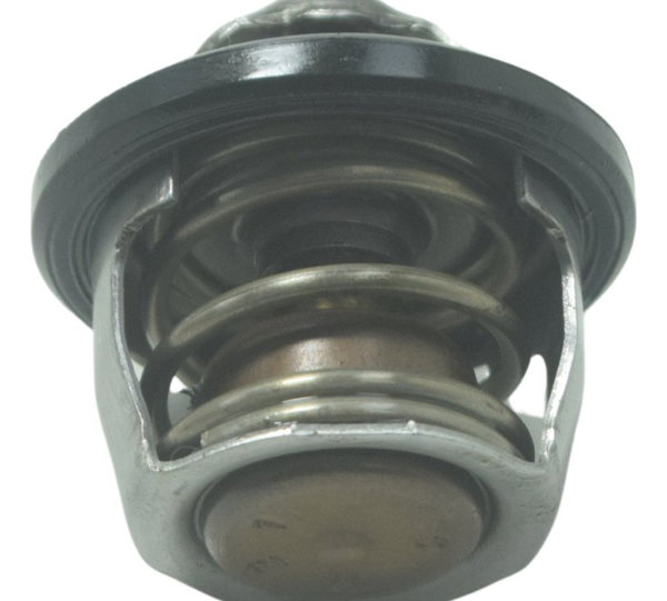 Válvula Termostática Bmw G310 Gs 20-24 Original