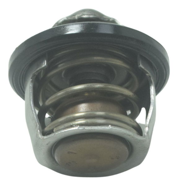 Válvula Termostática Bmw G310 Gs 20-24 Original