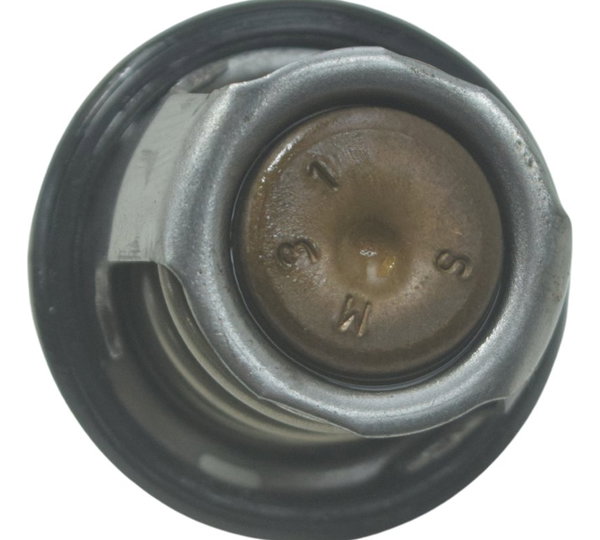 Válvula Termostática Bmw G310 Gs 20-24 Original