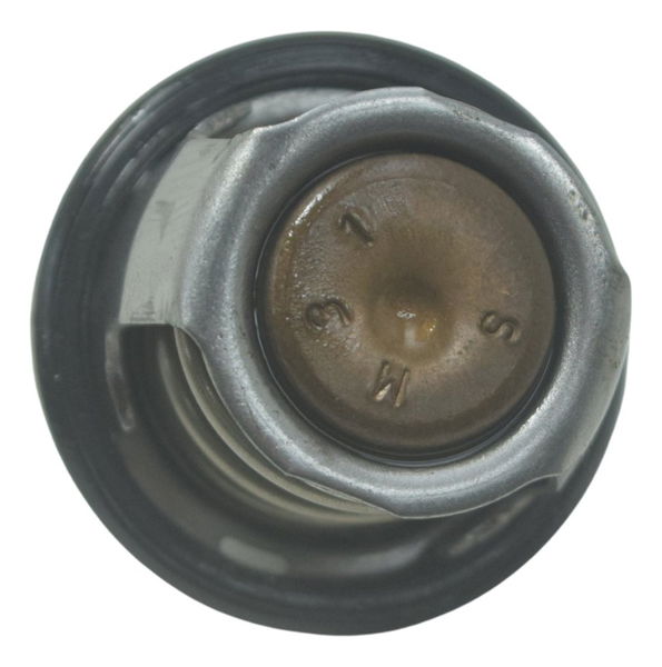 Válvula Termostática Bmw G310 Gs 20-24 Original