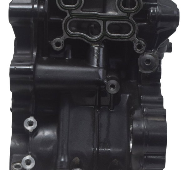 Bloco Superior Cilindro Pistão Anéis Bmw G310 Gs 20-24 Orig
