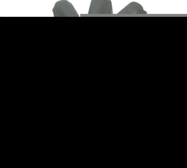 Coxim Tanque Bmw G310 Gs 20-24 Original