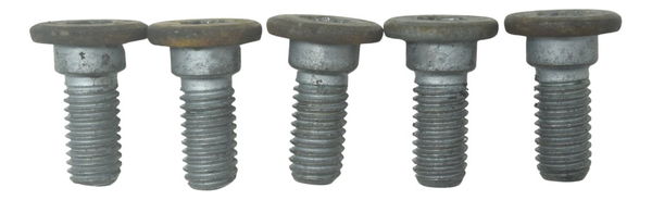 Kit Parafusos Disco Freio Dianteiro Bmw G310 Gs 20-24 Orig