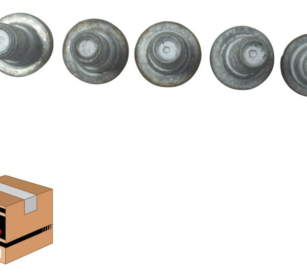 Kit Parafusos Disco Freio Dianteiro Bmw G310 Gs 20-24 Orig